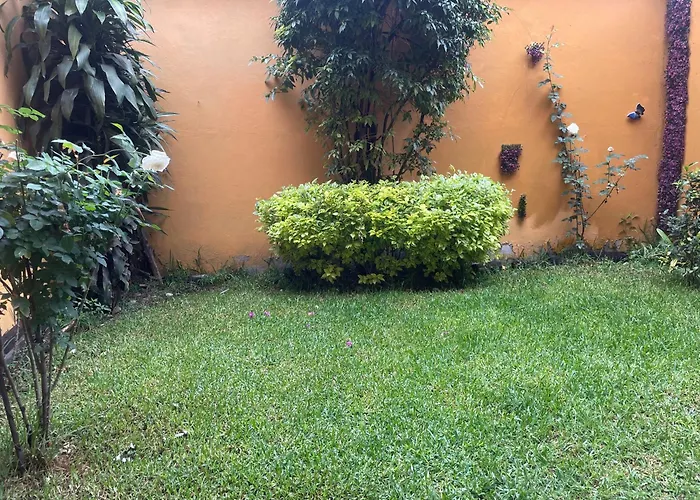 Habitación Con Baño Privado Exterior Pensión México DF
